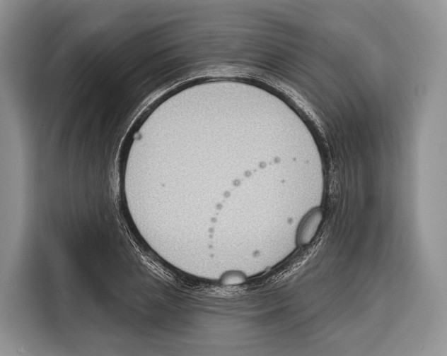 X0000115110837200911241325