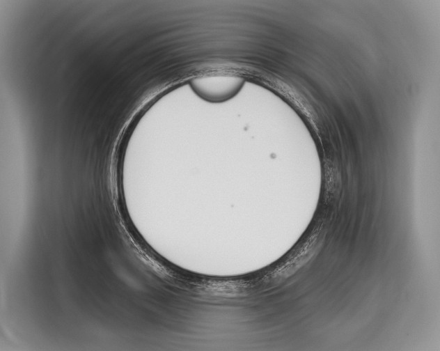 X0000115110843200911241325