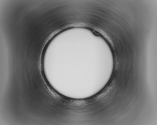 X0000115110845200911241325