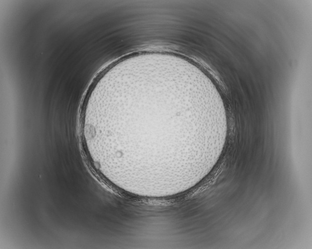 X0000115110848200911241326