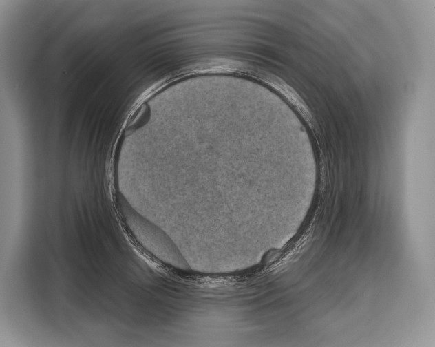 X0000115110850200911241326