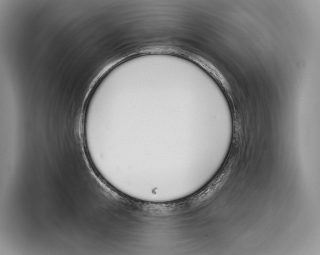 X0000115110855200911241326