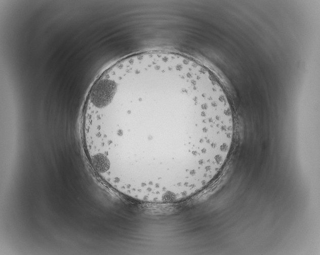 X0000115110856200911241326