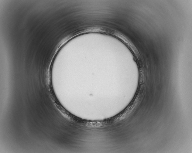 X0000115110858200911241326