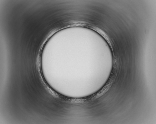 X0000115110859200911241326