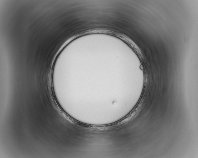 X0000115110860200911241326