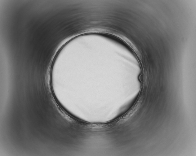 X0000115110862200911241326