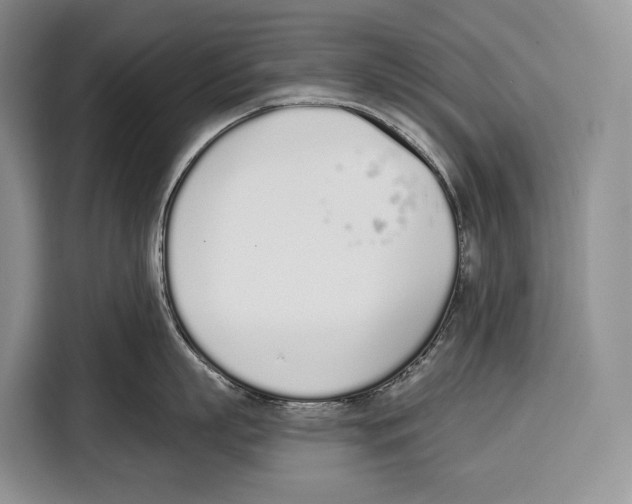 X0000115110863200911241326