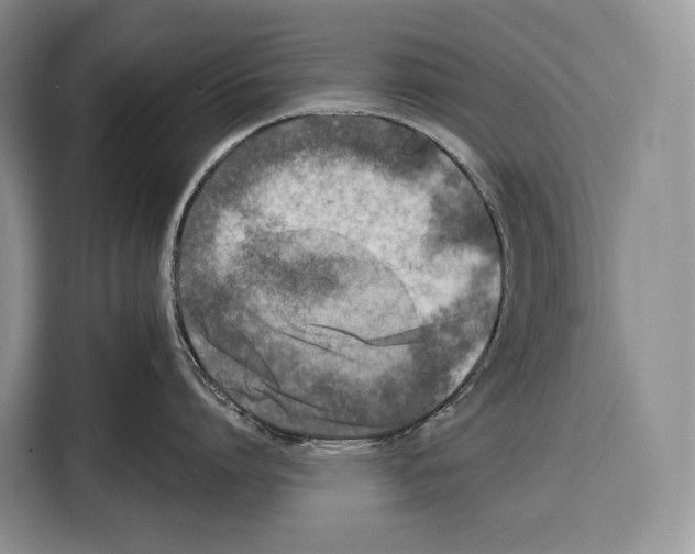 X0000115110864200911241326