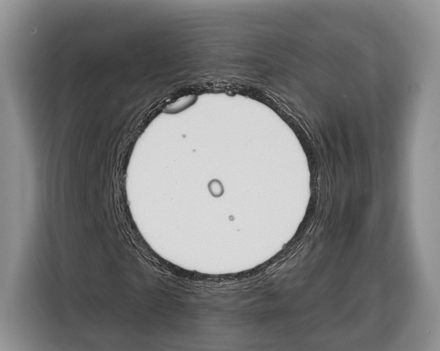 X0000115110865200911241325