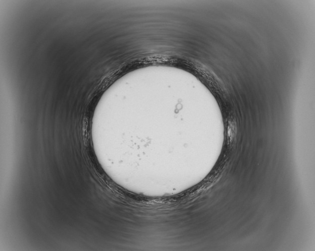 X0000115110867200911241325