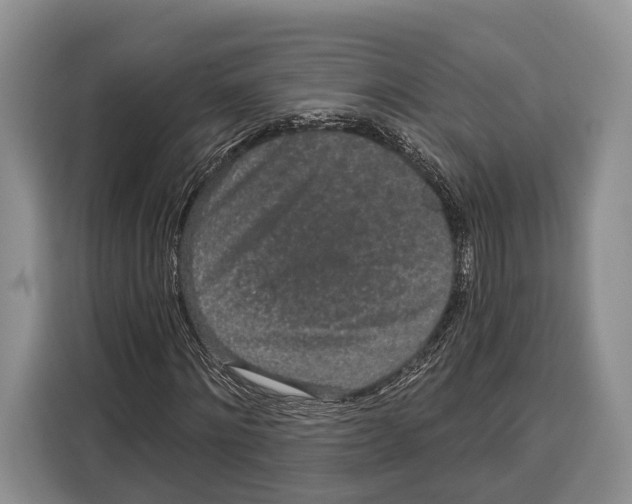 X0000115110868200911241325