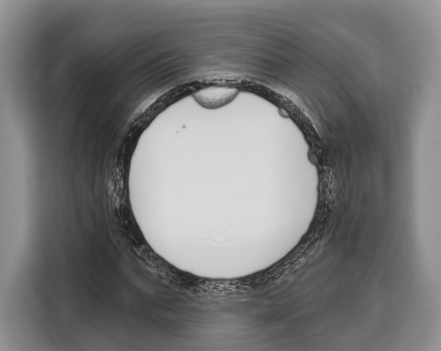 X0000115110871200911241325