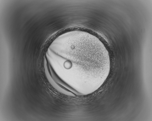 X0000115110872200911241325