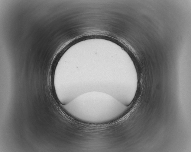 X0000115110877200911241325