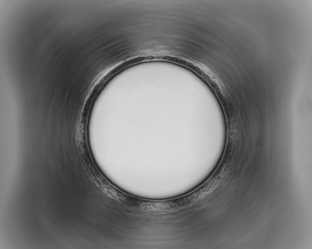 X0000115110879200911241325