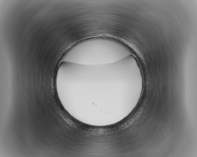 X0000115110881200911241325