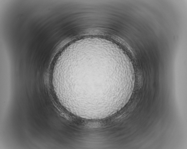 X0000115110882200911241325