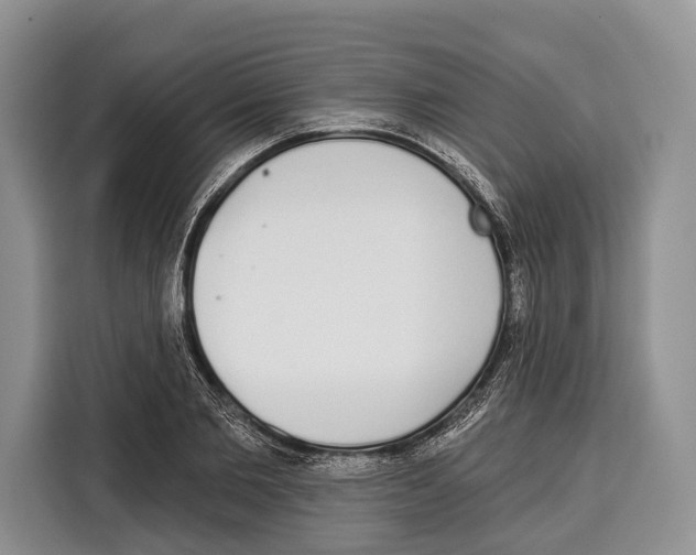 X0000115110885200911241325