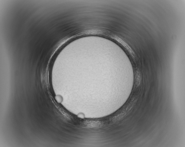 X0000115110886200911241325