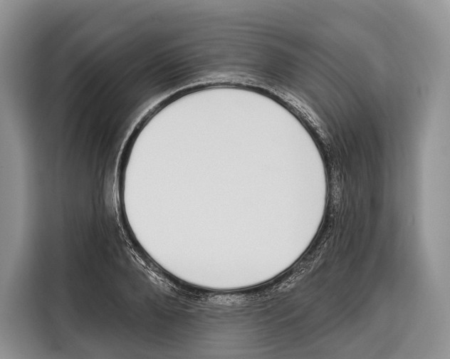 X0000115110888200911241325