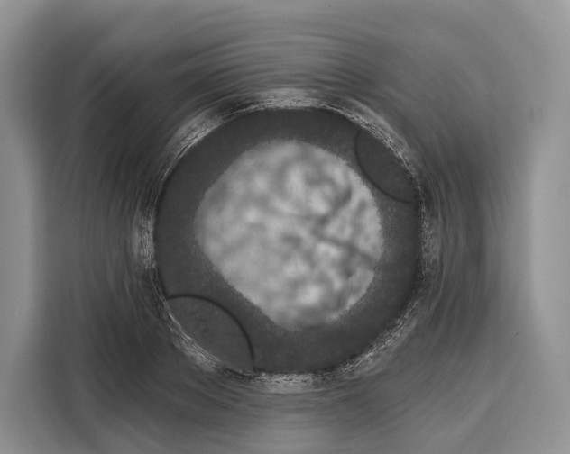 X0000115110889200911241325