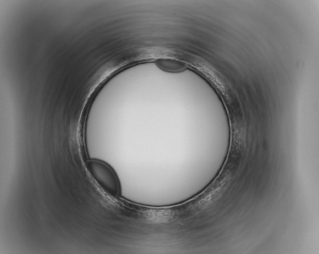X0000115110893200911241325