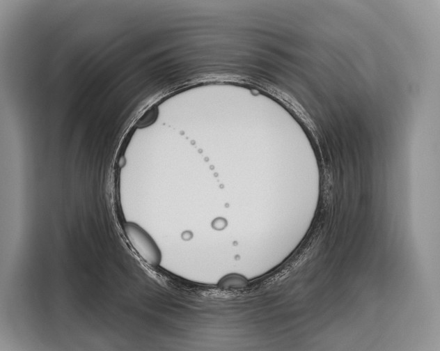 X0000115110898200911241325