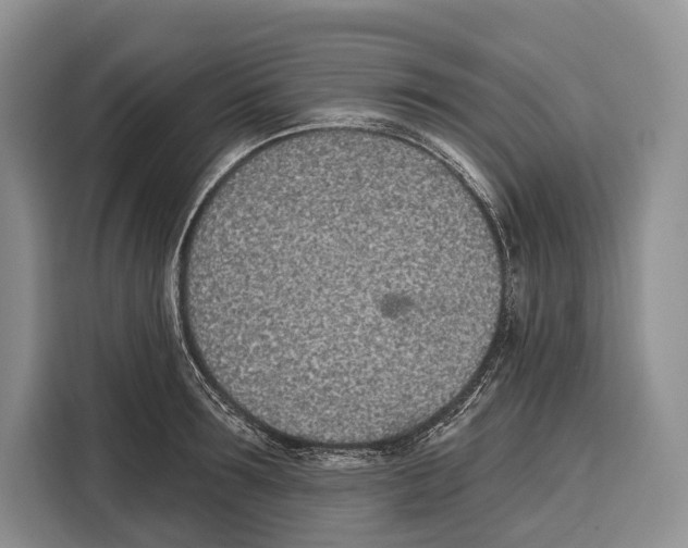 X0000115110899200911241325