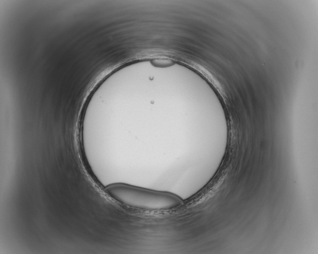 X0000115110901200911241325