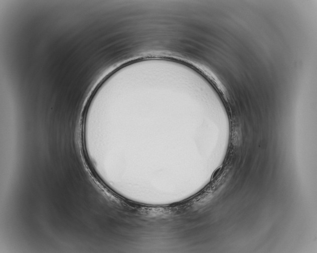 X0000115110903200911241325