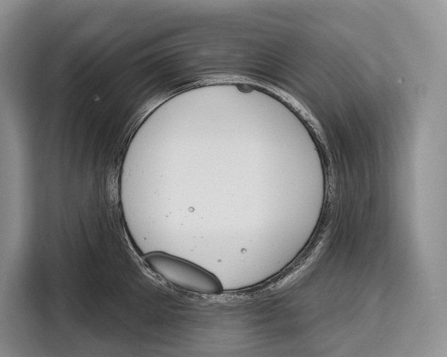 X0000115110905200911241325