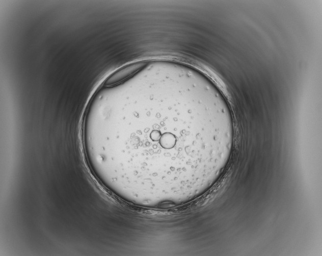 X0000115110907200911241325