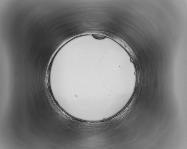 X0000115110908200911241325