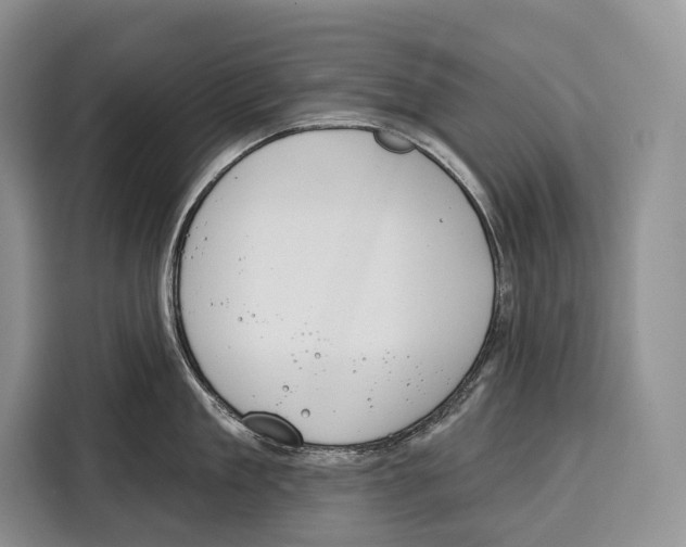 X0000115110909200911241325