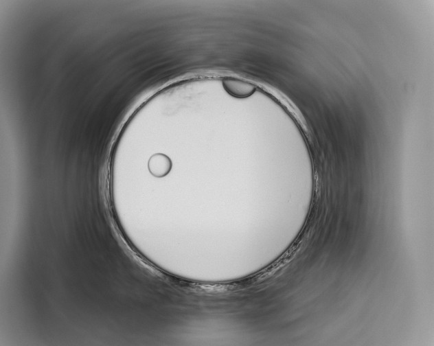 X0000115110911200911241325