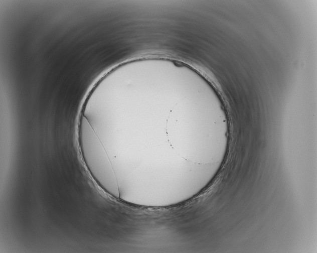 X0000115110912200911241324