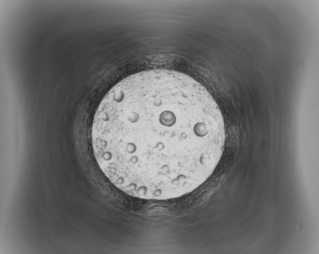 X0000115110913200911241324