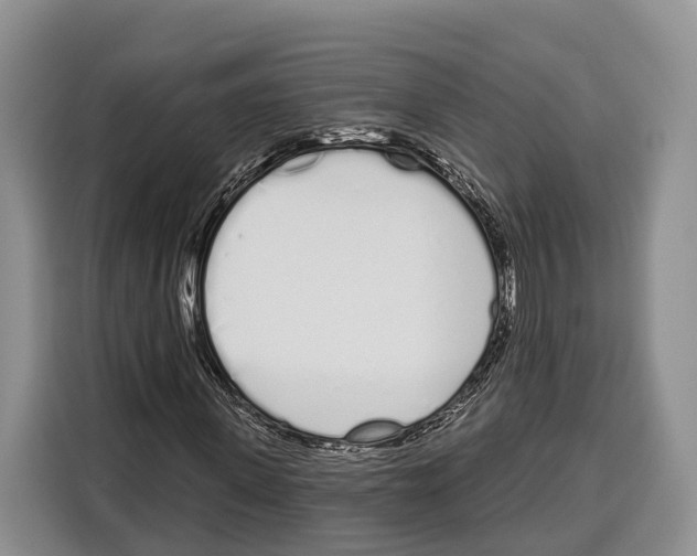 X0000115110915200911241324