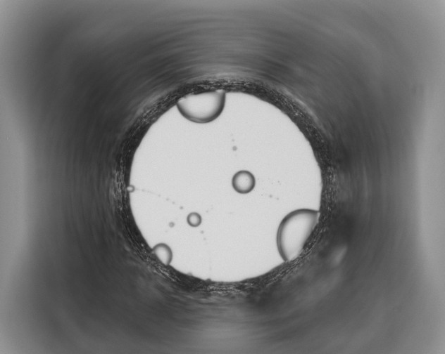 X0000115110918200911241324