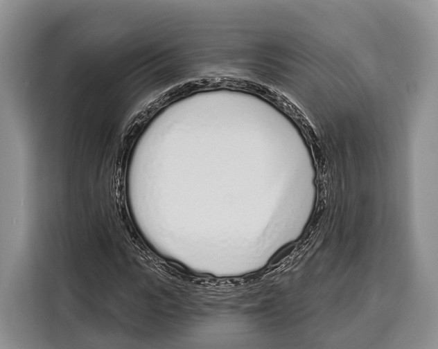 X0000115110919200911241324