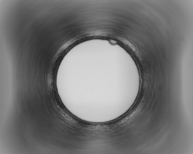 X0000115110922200911241324