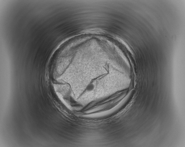 X0000115110923200911241324