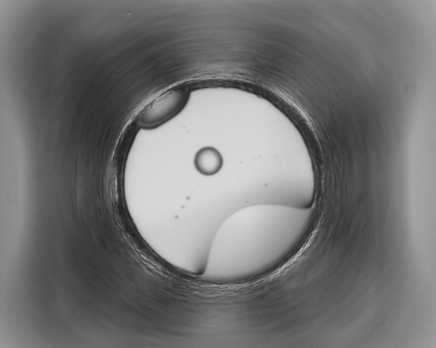 X0000115110925200911241324