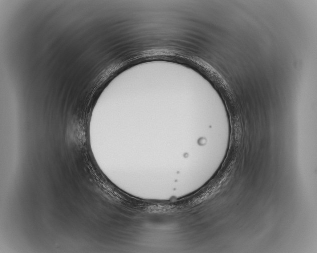 X0000115110929200911241324