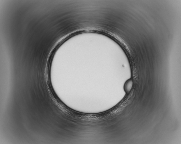 X0000115110935200911241324