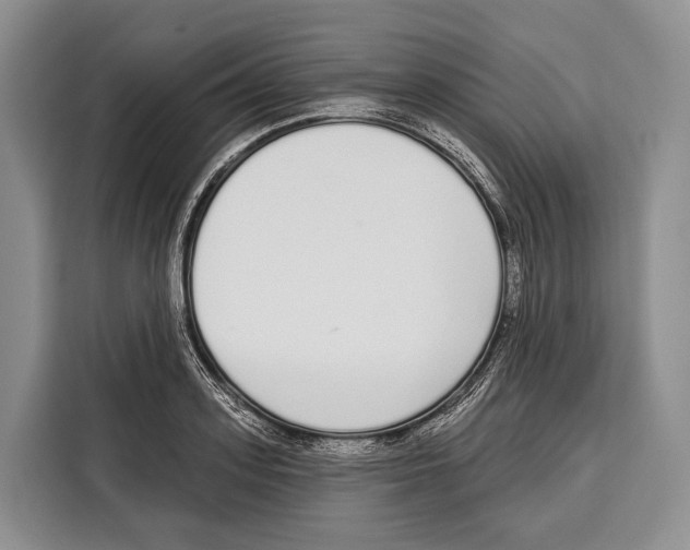 X0000115110939200911241324