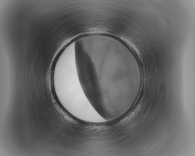 X0000115110941200911241324