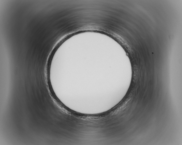 X0000115110942200911241324