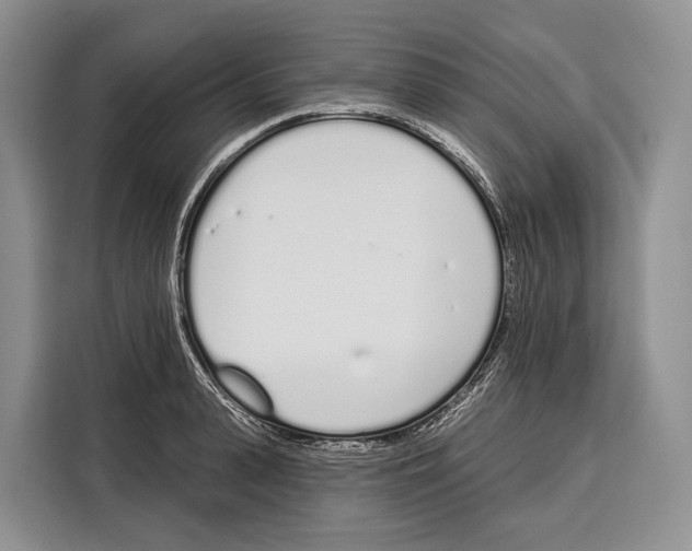 X0000115110943200911241324